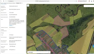 Аукцион на право заключения договора аренды земельного участка, находящегося в муниципальной собственности (Российская Федерация, Нижегородская область. Спасский район, СПК «Колхоз имени Кирова», 500 м. на северо-запад от с. Красный Ватрас, кадастровый № 52:29:0070001:915)'